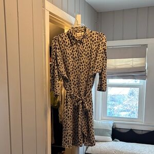 Chicos Stylish Leopard Print Dress